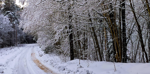 Similar image 22127642