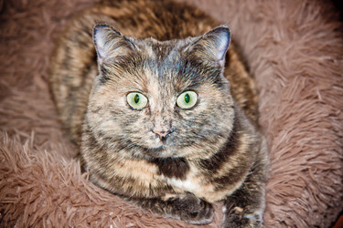 Similar image 22127643