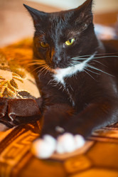 Similar image 22127677