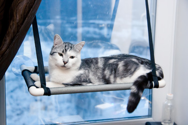 Similar image 22127679