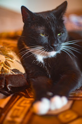 Similar image 22127681