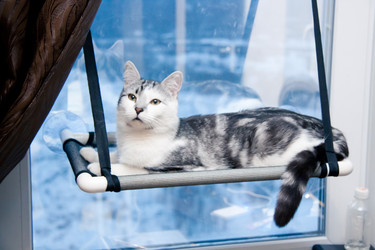 Similar image 22127682