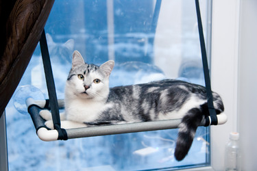 Similar image 22127684