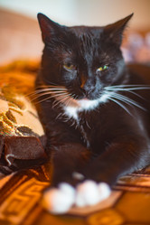 Similar image 22127686