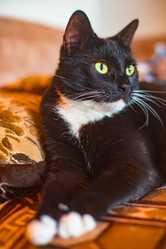 Similar image 22124796