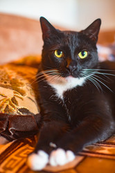 Similar image 22124797