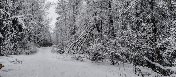 Similar image 22127694