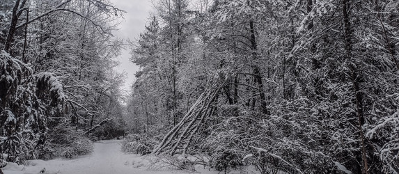 Similar image 22127696