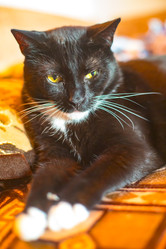 Similar image 22124851