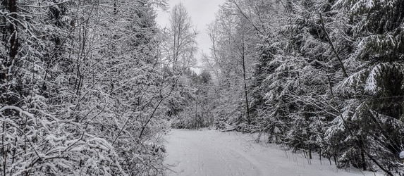 Similar image 22127699