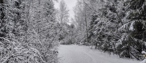 Similar image 22127701