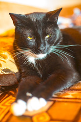 Similar image 22124852