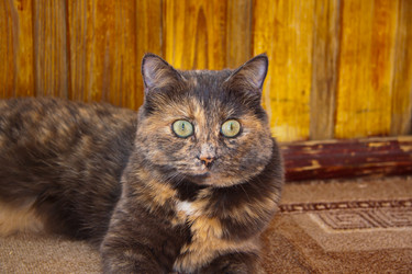 Similar image 22124853