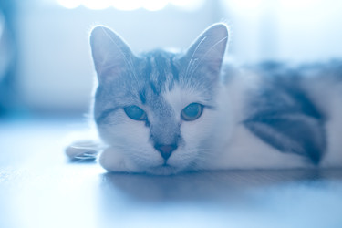 Similar image 22124854