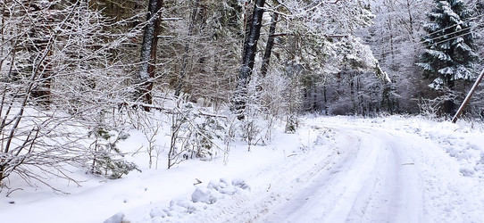 Similar image 22127704