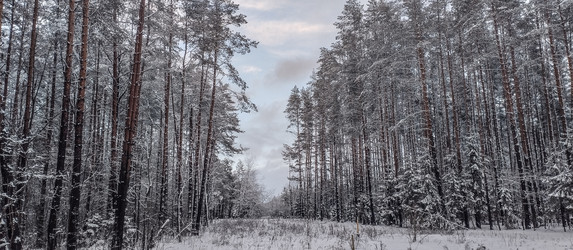 Similar image 22127705