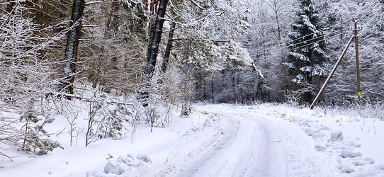 Similar image 22127706