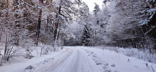 Similar image 22127709