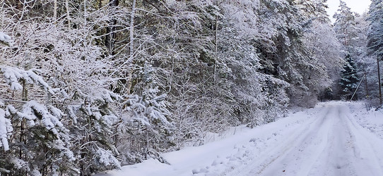 Similar image 22127710