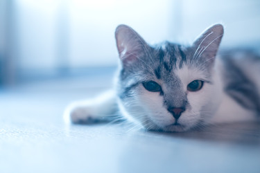 Similar image 22124798