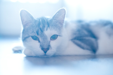 Similar image 22124872