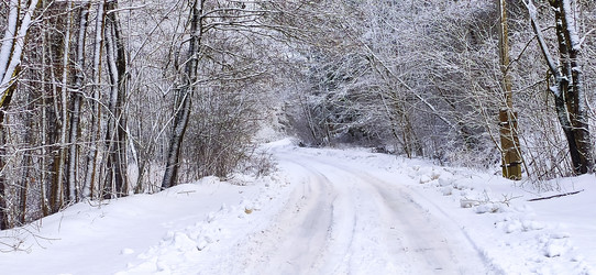 Similar image 22127716