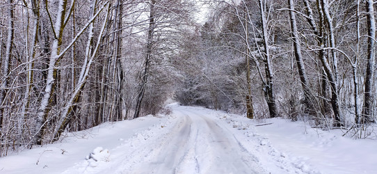 Similar image 22127717