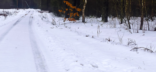 Similar image 22127645