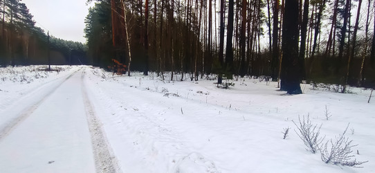 Similar image 22127646