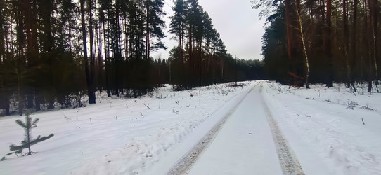 Similar image 22127648