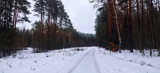 Similar image 22128898