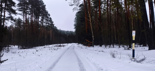 Similar image 22127507