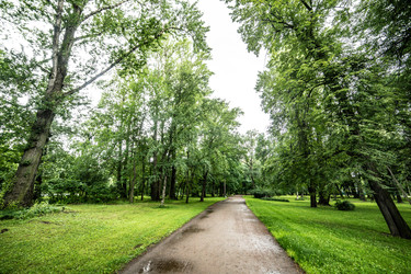 Similar image 22128908