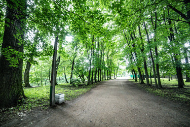 Similar image 22128910