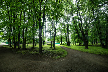 Similar image 22128912