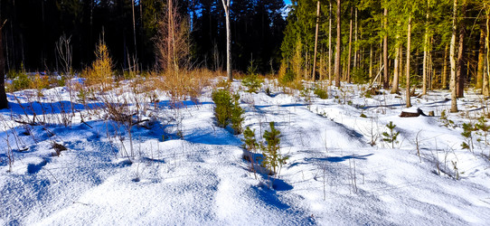 Similar image 22127721