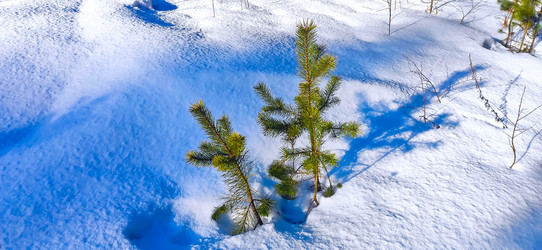 Similar image 22127722