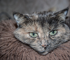 Similar image 22124800