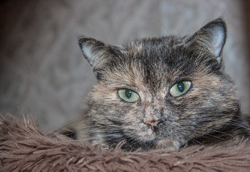 Similar image 22124855