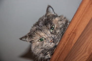 Similar image 22124856