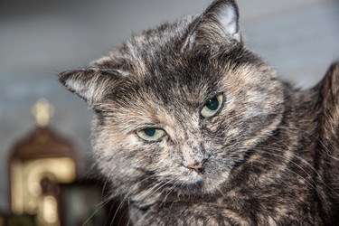 Similar image 22124857