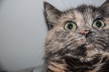 Similar image 22124858