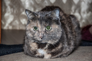 Similar image 22124859