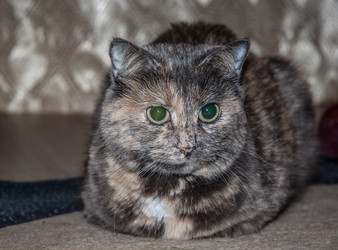 Similar image 22124860