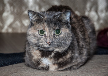 Similar image 22124861