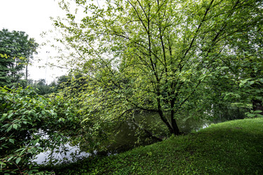 Similar image 22129865