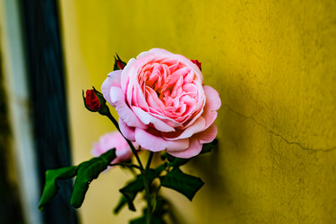 Similar image 22129866