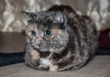 Similar image 22124862