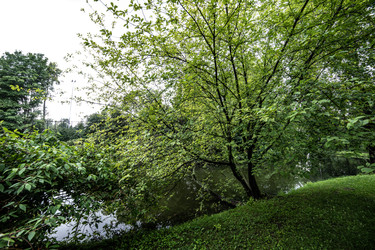 Similar image 22129867