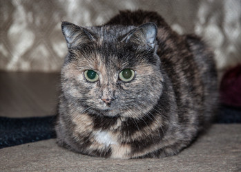 Similar image 22124863